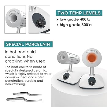 希少　Human Sterilization To-Day Japan's top court says forced sterilisation unconstitutional